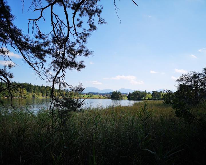 Waldhaus am Fohnsee